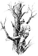 image.name
