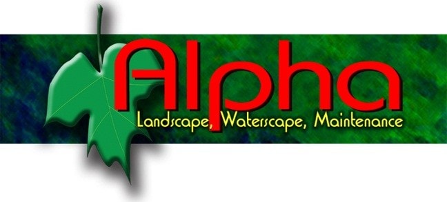 image.name