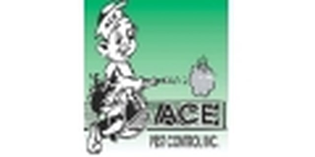 image.name