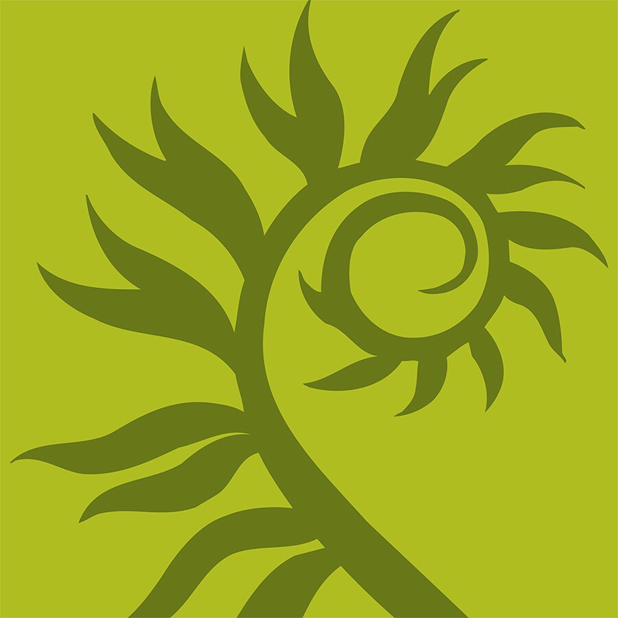 image.name
