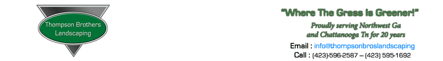 image.name