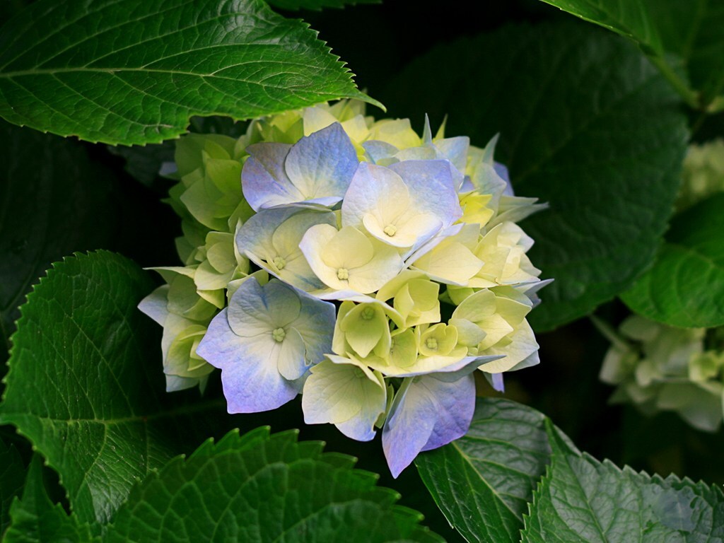 image.name