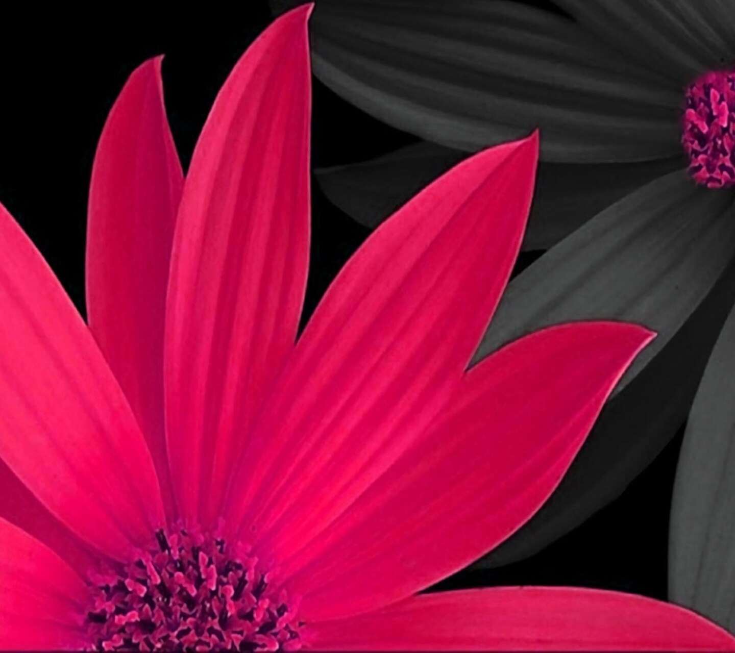 image.name