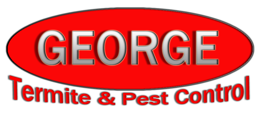 image.name