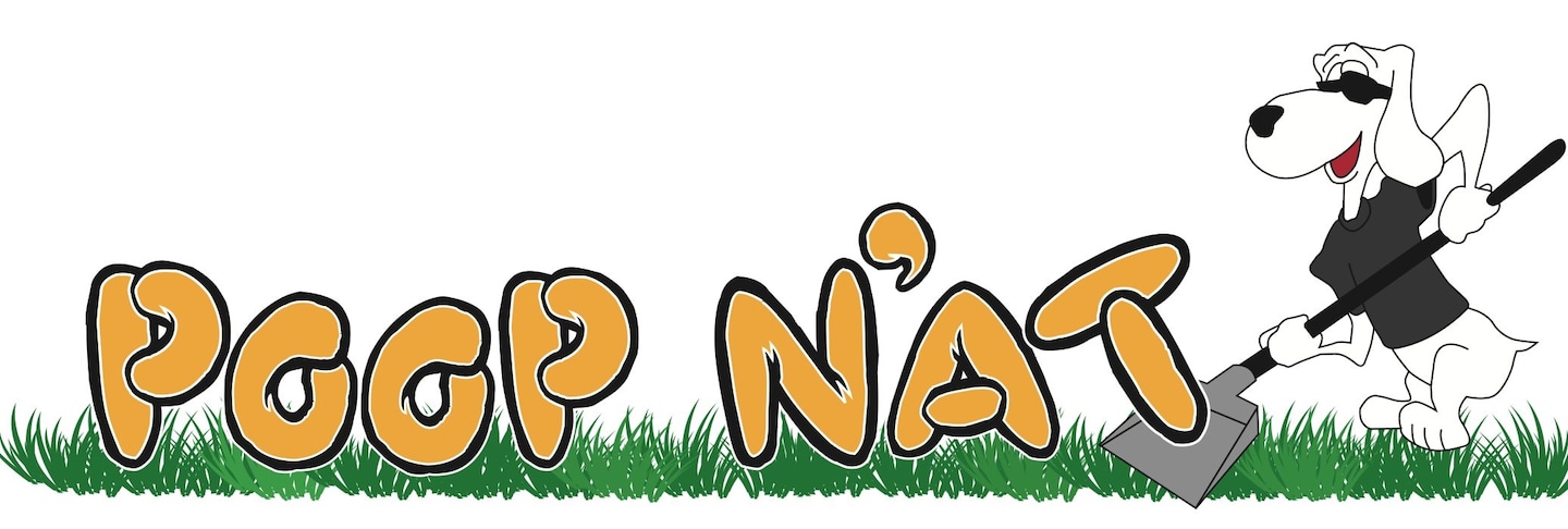 image.name