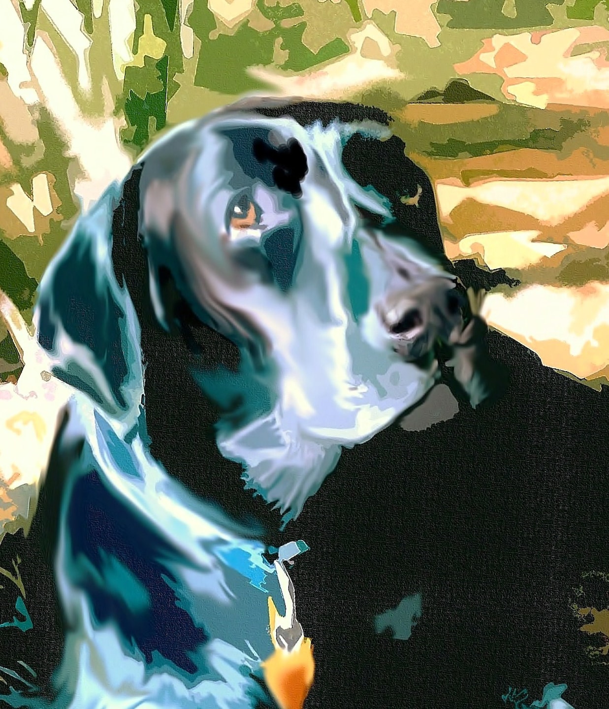 image.name