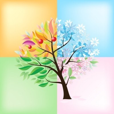 image.name