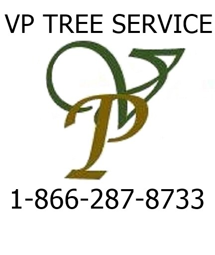 image.name