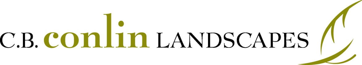 image.name