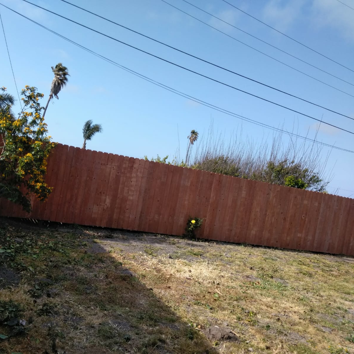 image.name