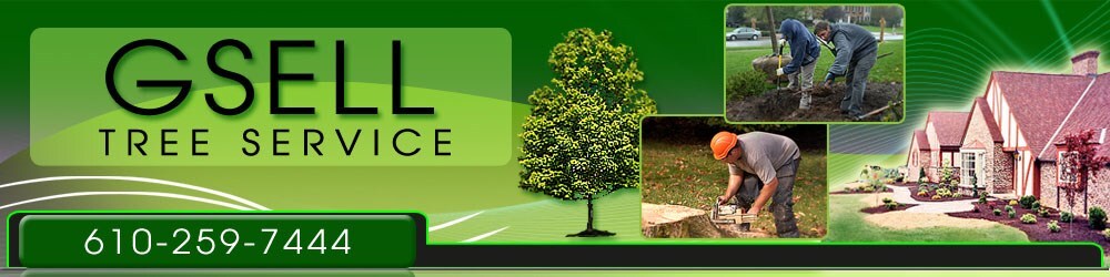 image.name