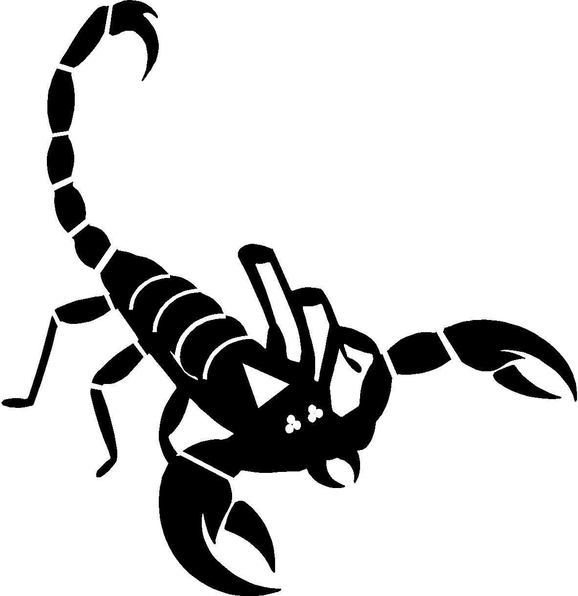 image.name