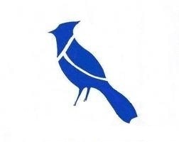 image.name