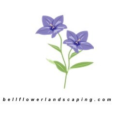 image.name