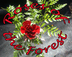 image.name