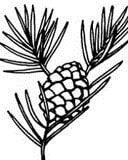 image.name