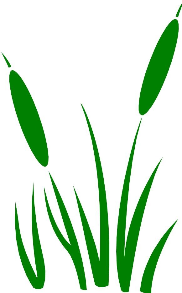 image.name