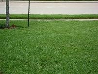 image.name