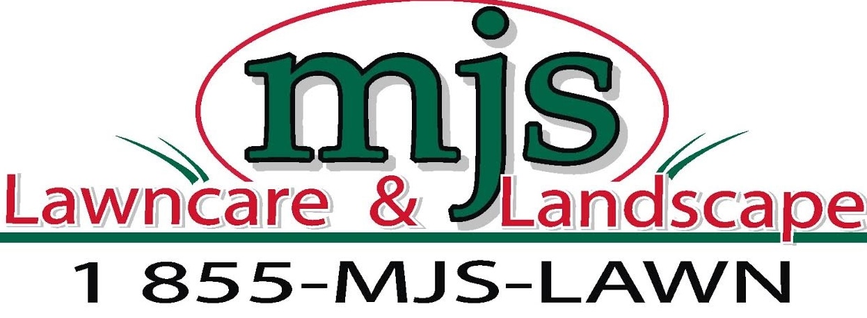 image.name