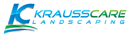 image.name