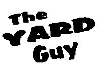 image.name