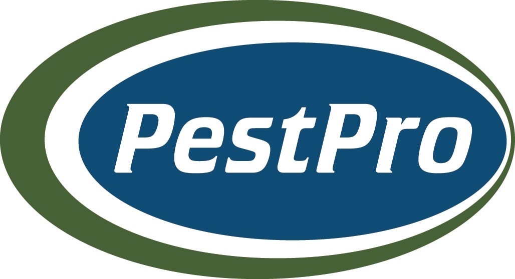 image.name